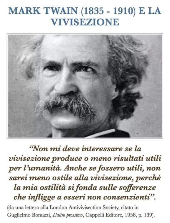 4-citazione-mark-twain